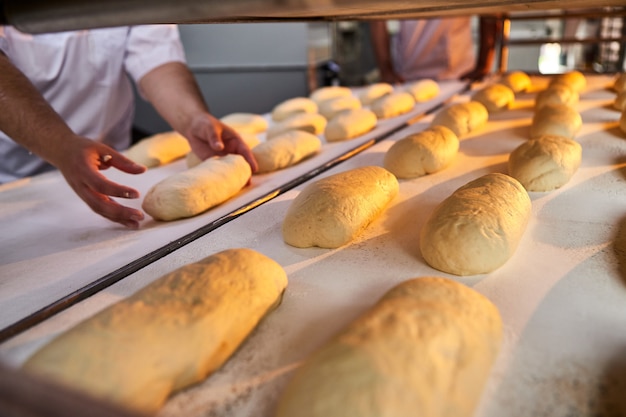 Les mains des boulangers forment la pâte pour la cuisson du pain et la mettent dans la plaque du four à la fabrication