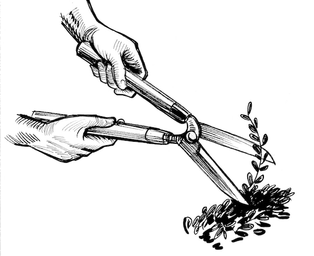 Mains avec des ciseaux de paysagiste coupant des branches. dessin noir et blanc à l'encre