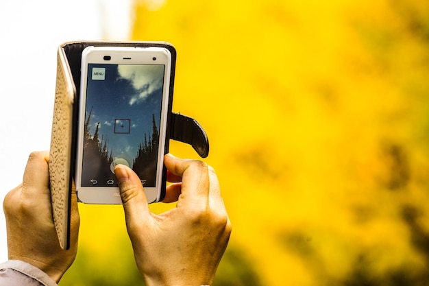 Photo des mains coupées à l'aide d'un téléphone portable