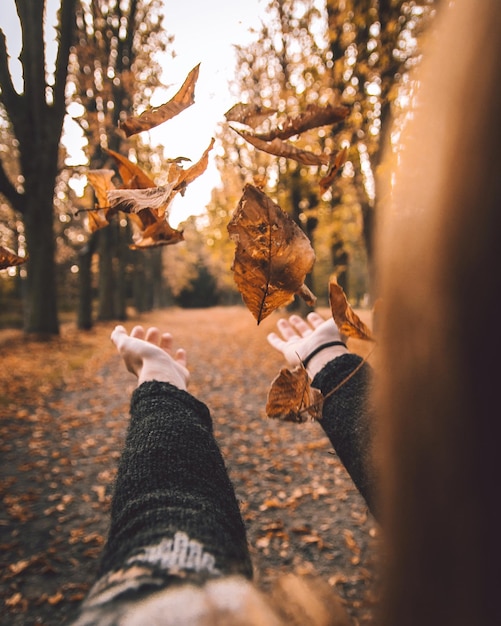 Des mains coupées d'une femme jetant des feuilles d'automne dans la forêt