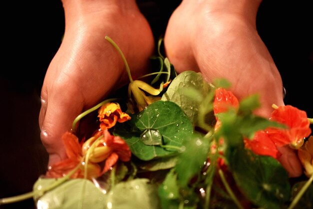 Photo des mains coupées d'une femme tenant des fleurs