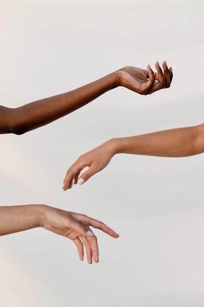Des mains coupées sur un fond blanc