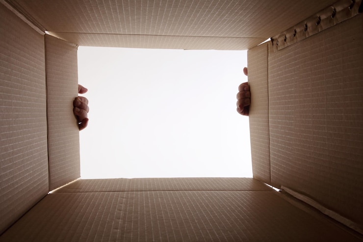 Photo des mains coupées tenant une boîte en carton ouverte sur un fond blanc