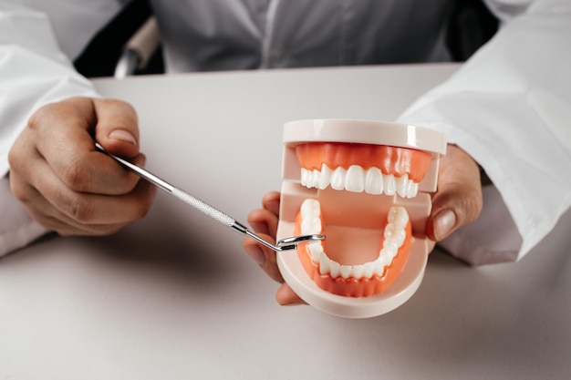 Mains de dentiste avec modèle de mâchoire en plastique et miroir Concept de santé dentaire