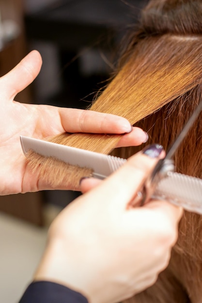 Les mains du coiffeur tiennent la mèche de cheveux entre ses doigts en faisant la coupe de cheveux longs de la jeune femme avec un peigne et des ciseaux dans le salon de coiffure en gros plan