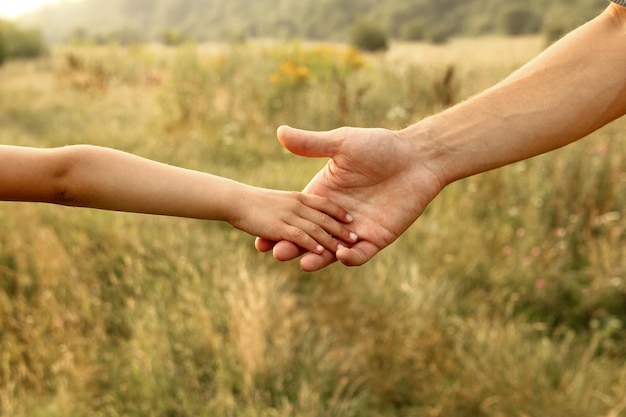 Mains du parent et de l'enfant dans la nature