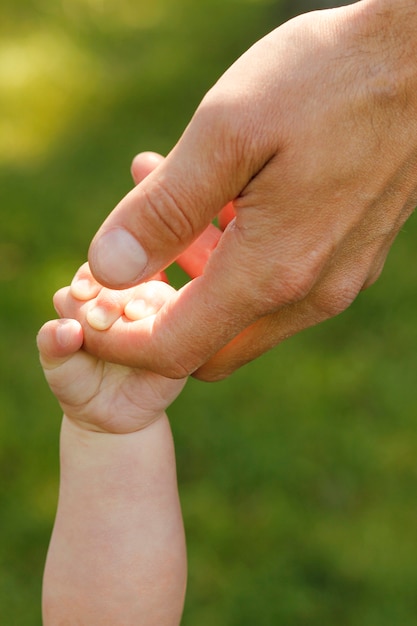 Mains du parent et de l'enfant à l'extérieur dans le parc