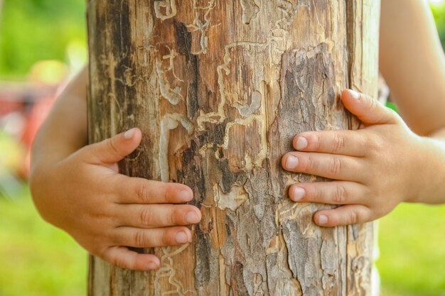 Mains d'un enfant heureux dans la nature