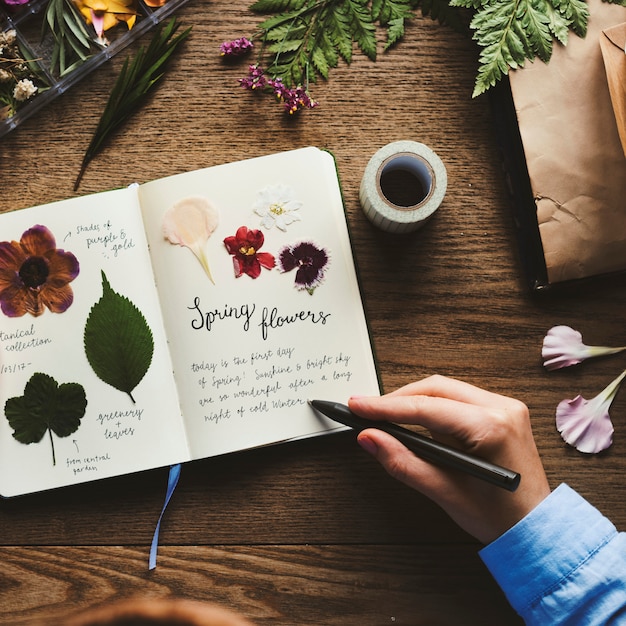 Mains faisant attacher collection de fleurs séchées dans un cahier