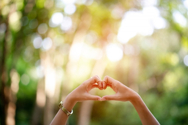 Mains faisant un coeur