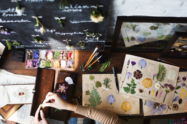 Mains faisant la collecte de papiers de fleurs sèches