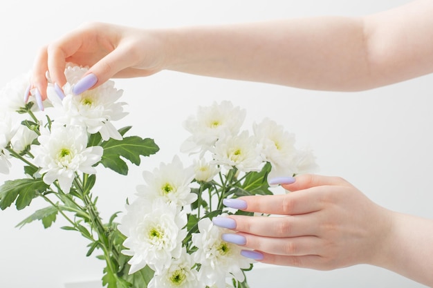 Mains féminines avec de belles fleurs de manucure et de chrysanthème