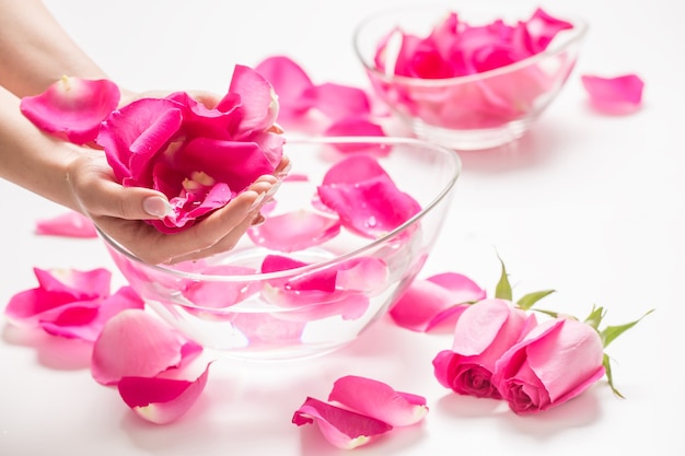 Mains féminines et bol d'eau thermale avec roses et pétales roses.