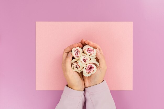 Mains féminines donnant des fleurs roses