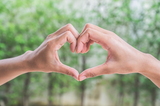 Mains féminines en forme de coeur sur fond vert