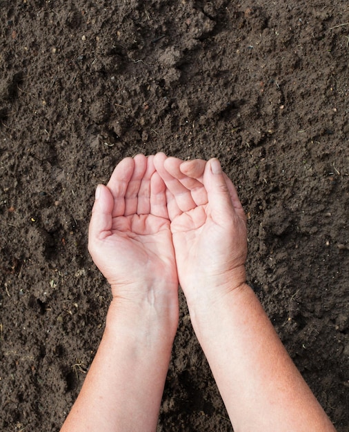 Mains féminines humaines sur fond de sol brun