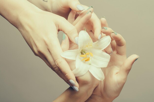 Mains féminines avec lys blanc