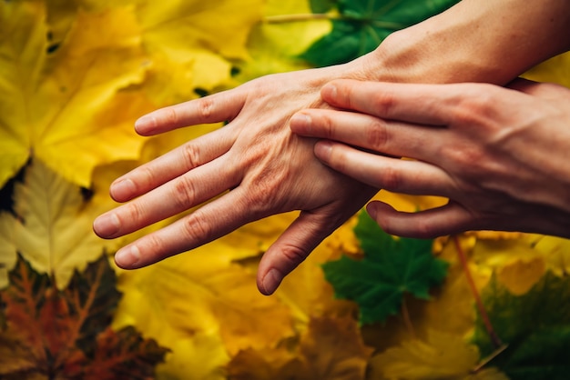 Mains féminines avec peau vieillissante et feuilles d'automne