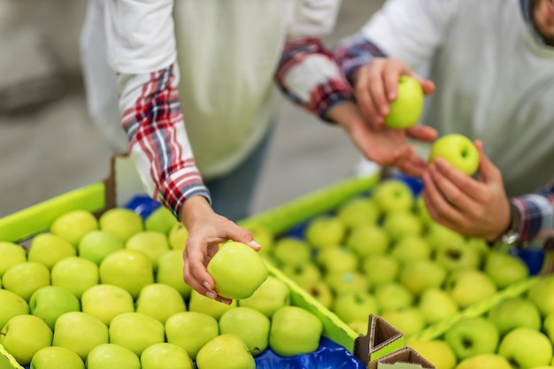 Les mains féminines prennent des pommes et les passent à l'homme en arrière-plan