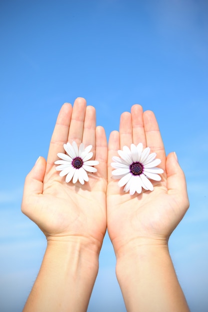 Mains féminines tenant deux belles fleurs avec un ciel bleu en arrière-plan