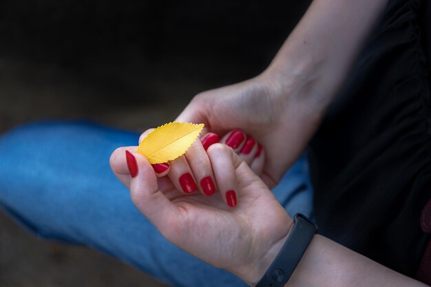 Mains féminines tenant une feuille jaune sur un fond de denim