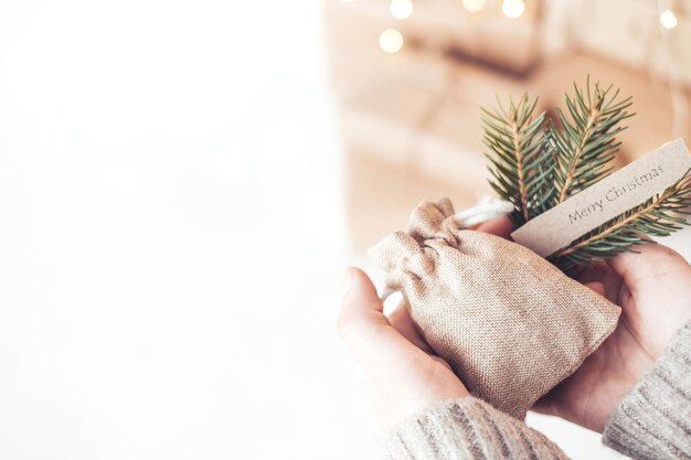 Mains féminines tenant un mini sac cadeau avec une branche d'épinette et les mots Joyeux Noël