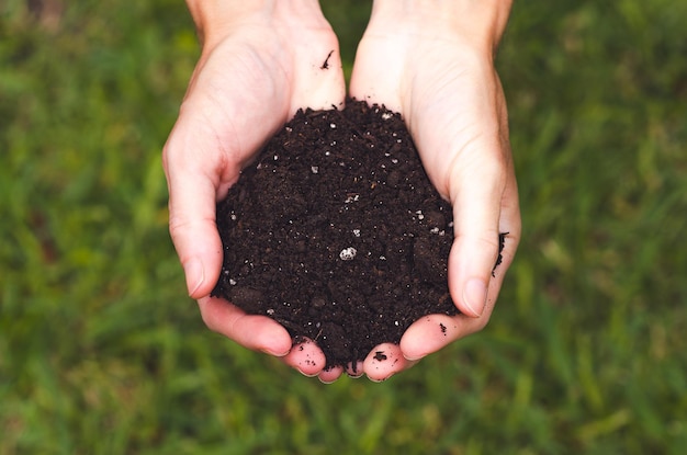 Des mains féminines tenant le sol sur l'herbe verte à l'arrière-plan vue supérieure concept de la Journée de la Terre