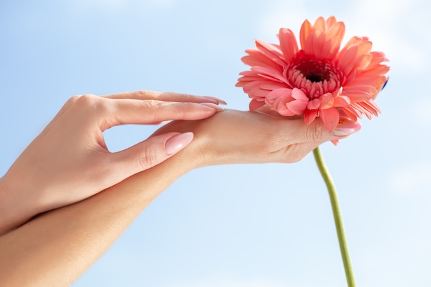 Les mains féminines tiennent une fleur. Symbole de la beauté et de la santé féminines