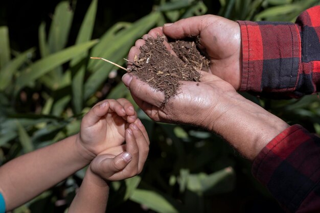 Mains d'une femme âgée et d'un enfant latino-américain méconnaissable tenant dans un sol composté