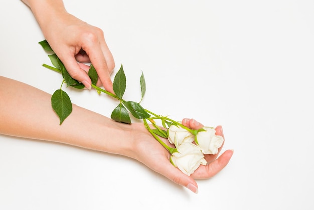 Mains de femme de beauté avec des fleurs de rose blanche sur la table produit cosmétique naturel pour le soin de la peau des mains fash ...