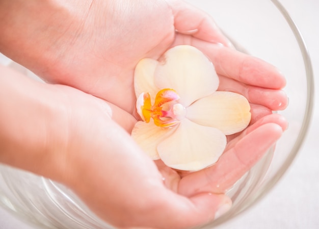 Mains de femme avec un bol en verre d'eau avec orchidée.