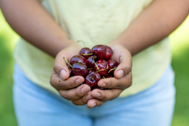 Mains de femme cerises