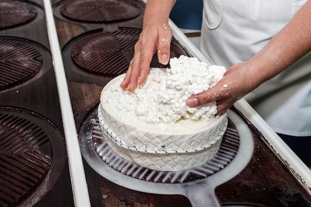 mains de femme fabriquant du fromage au lait de chèvre