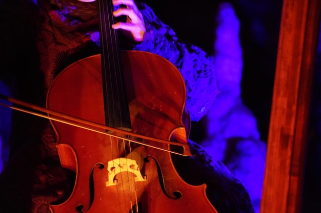 Mains de femme jouant du violoncelle en gros plan