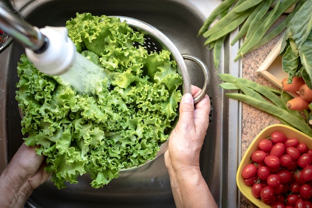 Mains de femme lavant la laitue fraîche sous un jet d'eau dans l'évier de la cuisine