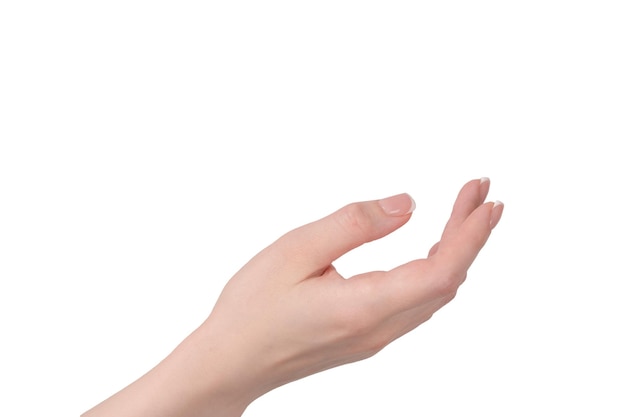 Mains de femme avec manucure française isolées sur fond blanc