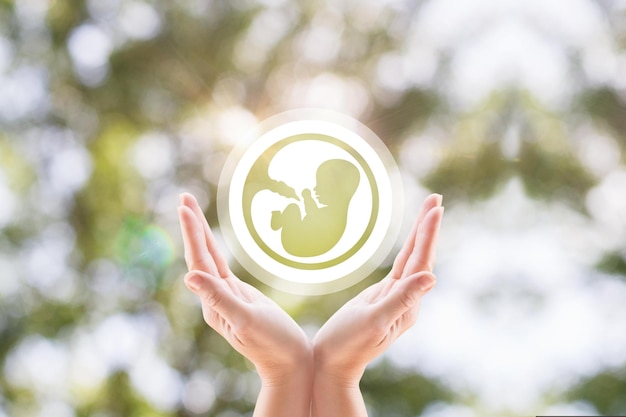 Les mains de la femme soutiennent l'icône de l'embryon humain sur l'arbre d'arrière-plan flou
