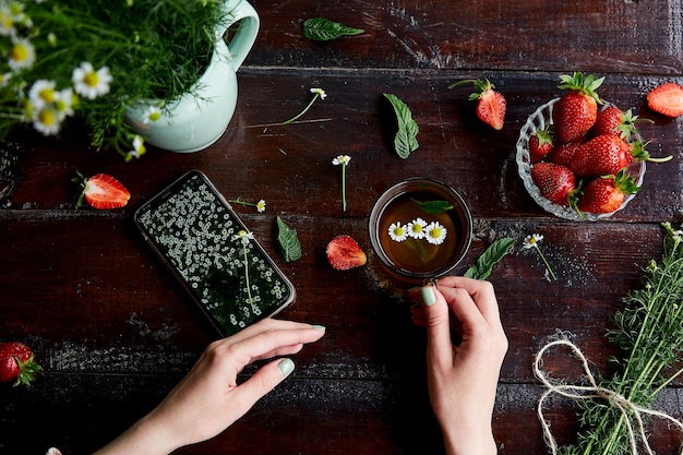 Mains de femme tenant une tasse de thé à la camomille et un téléphone portable Fraises fraîches atmosphériques d'été camomille thé naturel et menthe Maquette d'écran mobile avec champ de fleurs de camomille