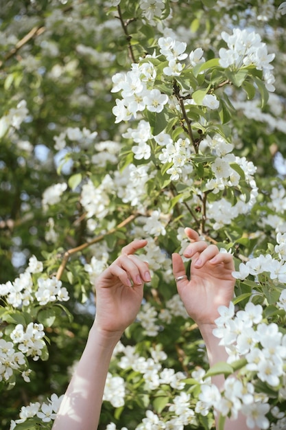 Les mains des femmes se sont levées devant l'arbre en fleurs