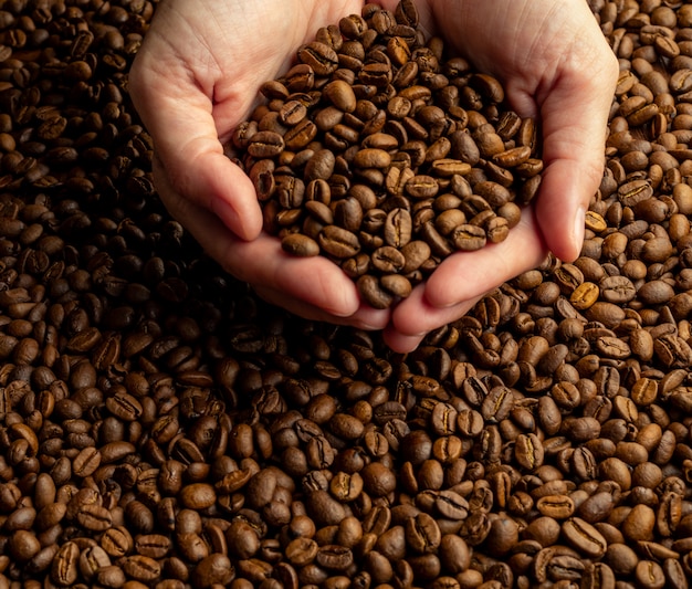 Mains de femmes tenant dans le tas d&#39;une grande poignée de grains de café