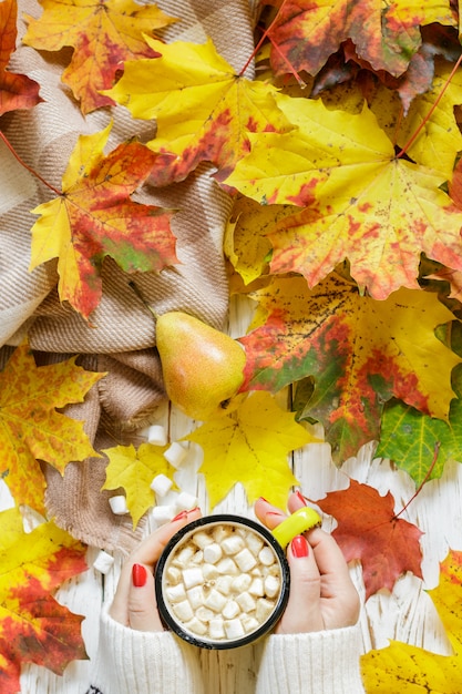 Mains de femmes tenant une tasse de chocolat chaud à la guimauve sur une table en bois blanche avec des feuilles d'automne colorées