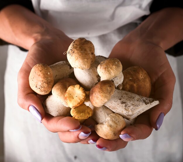 Des mains de femmes tiennent des champignons forestiers