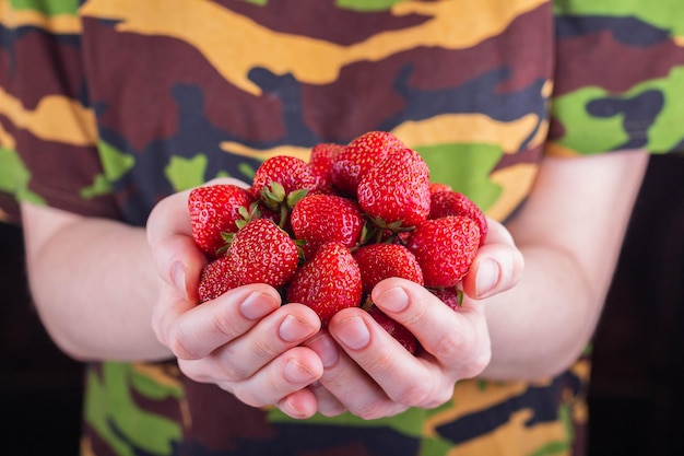 Les mains des femmes tiennent une poignée de fraises