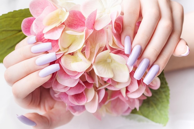 Les mains de la fille avec une manucure violette douce