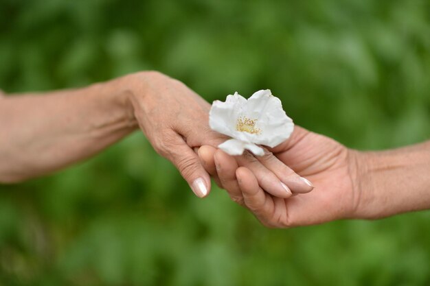 Mains avec une fleur