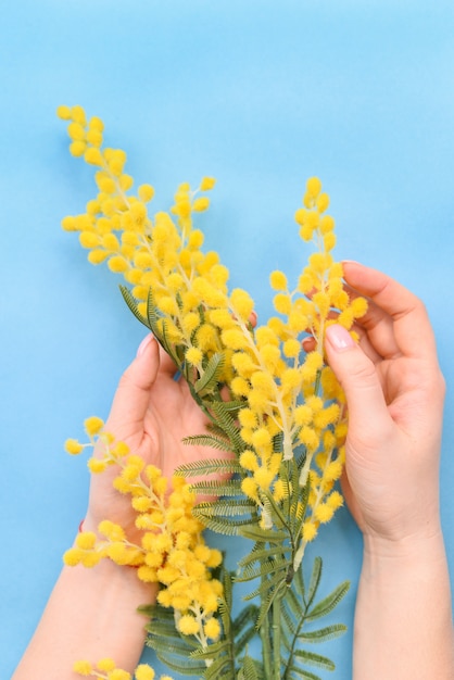 Les mains et les fleurs jaunes printanières sont sur un soin de table bleu. Cosmétiques Nature pour le soin de la peau des mains