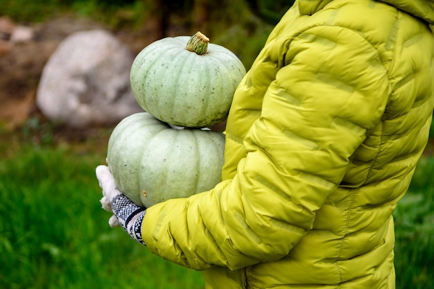 Photo les mains gantées des femmes tiennent 2 citrouilles de leur maison de campagne.