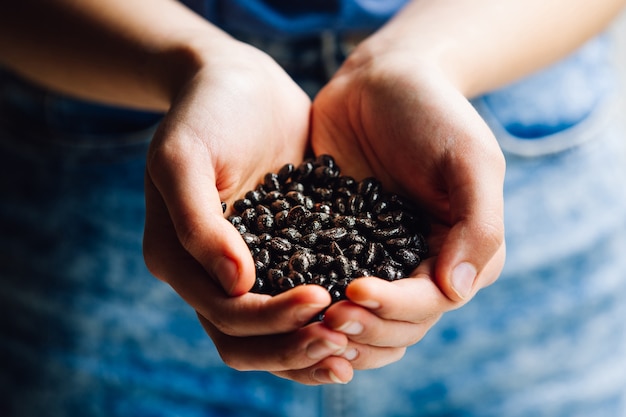 Mains avec des grains de café