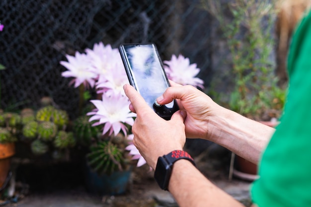 Les mains de l'homme prenant une photo avec un téléphone portable. Fleur de cactus.