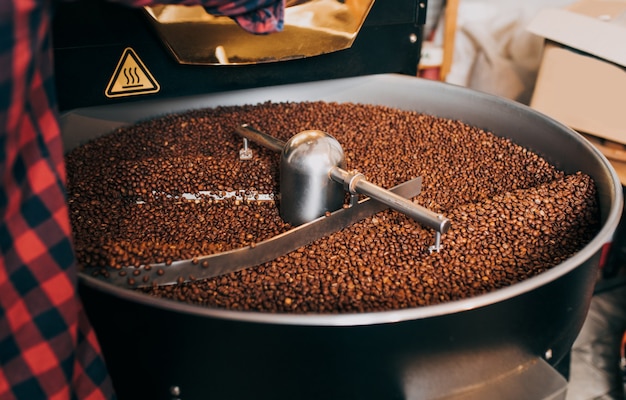 Les mains de l'homme tenant des grains de café aromatiques fraîchement torréfiés sur une machine de torréfaction de café moderne.
